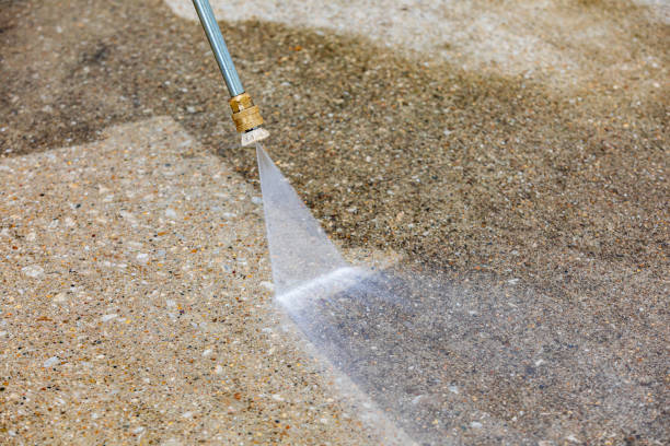 Best Driveway Pressure Washing  in Riviera Beach, FL